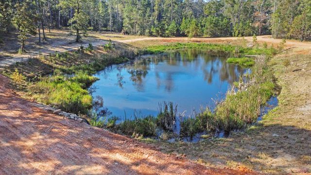 7015 Woodlake Trl, Montgomery, TX 77316