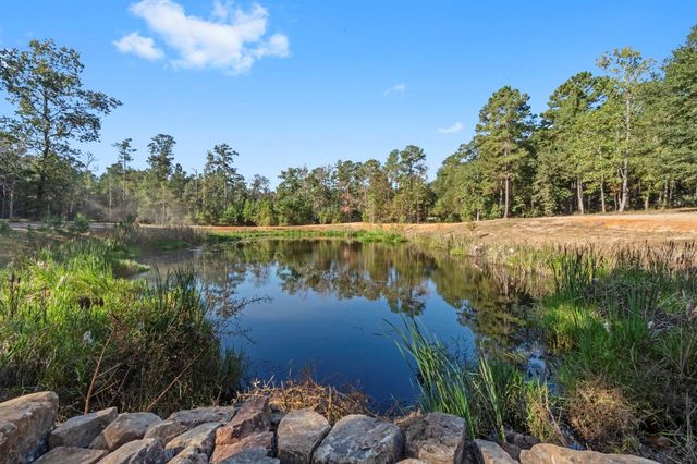 7015 Woodlake Trl, Montgomery, TX 77316