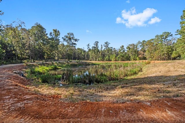 7015 Woodlake Trl, Montgomery, TX 77316