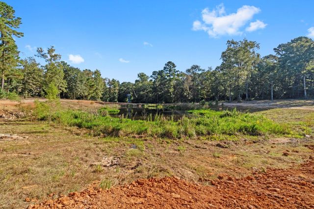 7015 Woodlake Trl, Montgomery, TX 77316