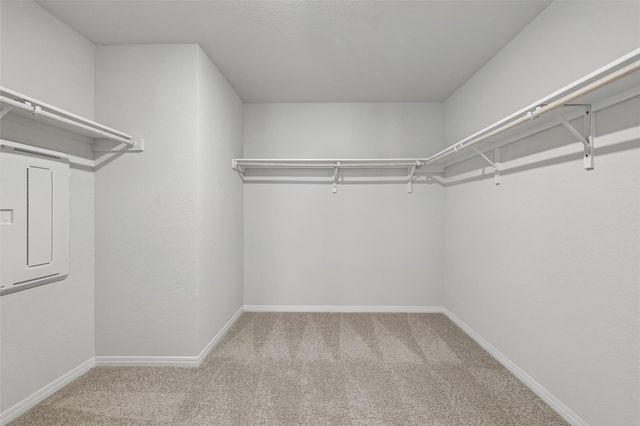 19805 Abigail Fillmore RD, Manor, TX 78653