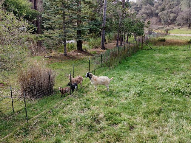 19520 Placer Hills Rd, Colfax, CA 95713