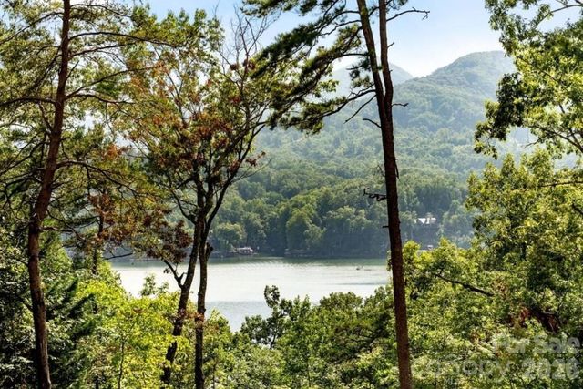 131 Pier Point Drive, Lake Lure, NC 28746