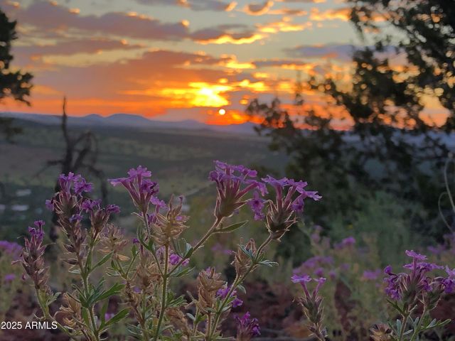 80 County Rd N3313 --, Vernon, AZ 85940