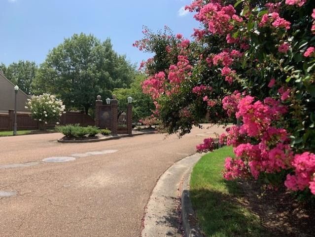 1682 SMOKEHOUSE DR, Memphis, TN 38016