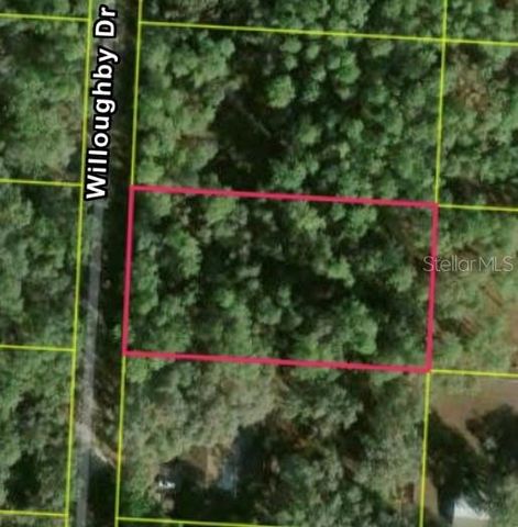 7352 WILLOUGHBY DRIVE, Webster, FL 33597