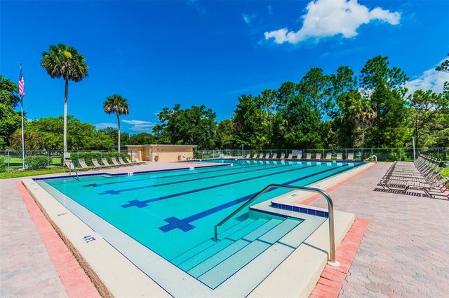 970 ROLLING HILLS DRIVE, Palm Harbor, FL 34683