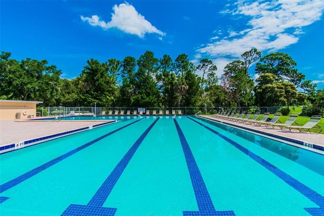 970 ROLLING HILLS DRIVE, Palm Harbor, FL 34683