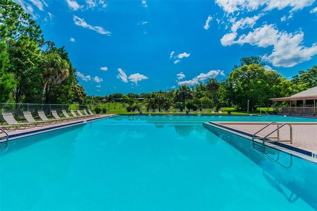 970 ROLLING HILLS DRIVE, Palm Harbor, FL 34683