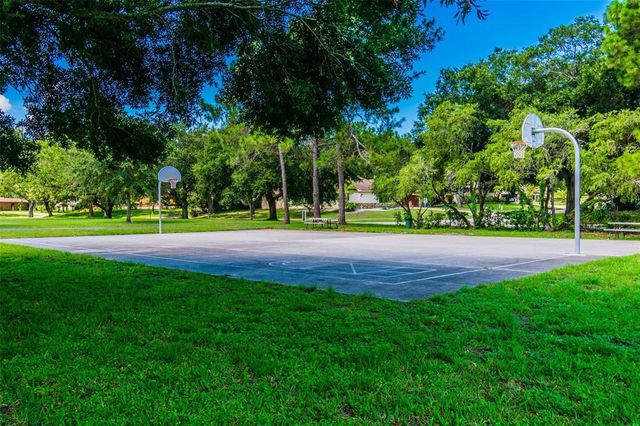 970 ROLLING HILLS DRIVE, Palm Harbor, FL 34683