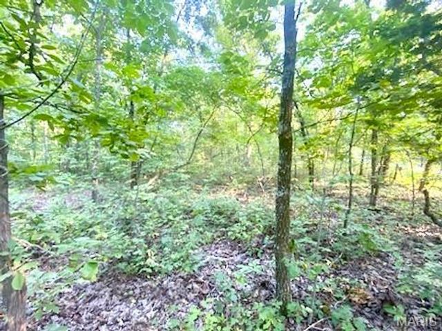 0 Hamilton Hollow Road, Sullivan, MO 63080