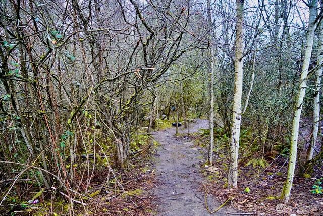 803 112th Street E, Tacoma, WA 98445