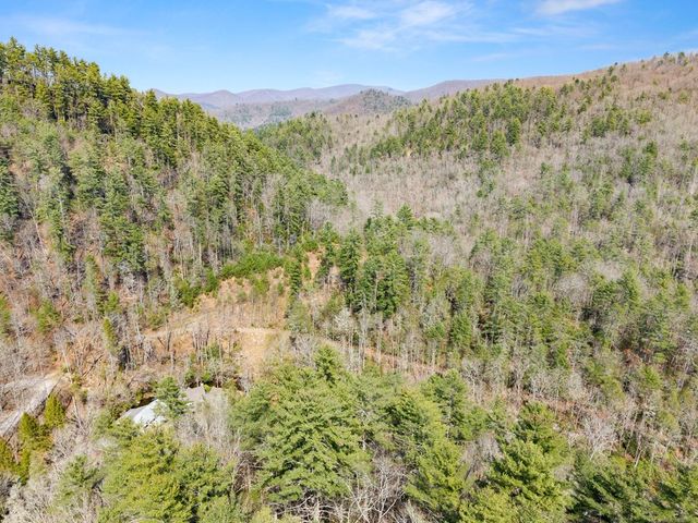 7880 Hiawassee Wilderness, Hiawassee, GA 30546