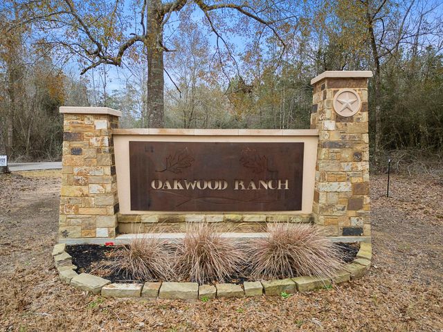 11784 Oakwood Ranch Drive, Willis, TX 77378