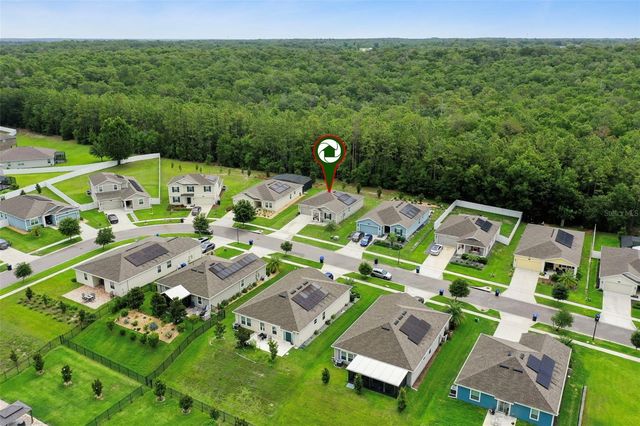 4810 MAGNETITE LOOP, Mount Dora, FL 32757