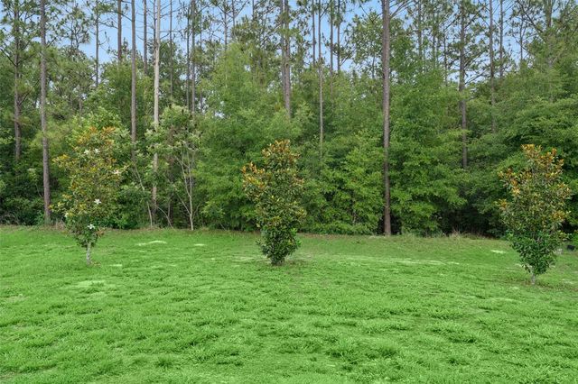 4810 MAGNETITE LOOP, Mount Dora, FL 32757