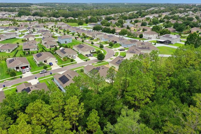 4810 MAGNETITE LOOP, Mount Dora, FL 32757