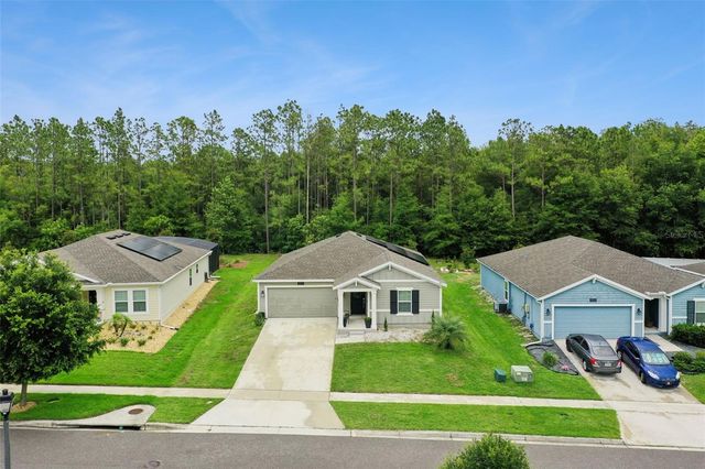 4810 MAGNETITE LOOP, Mount Dora, FL 32757
