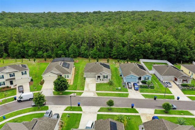 4810 MAGNETITE LOOP, Mount Dora, FL 32757
