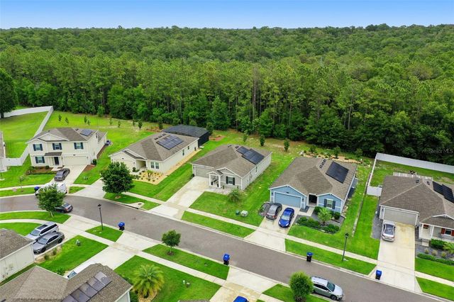 4810 MAGNETITE LOOP, Mount Dora, FL 32757