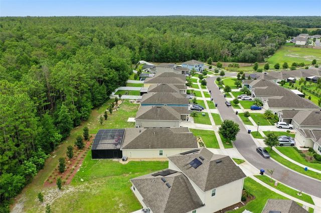 4810 MAGNETITE LOOP, Mount Dora, FL 32757