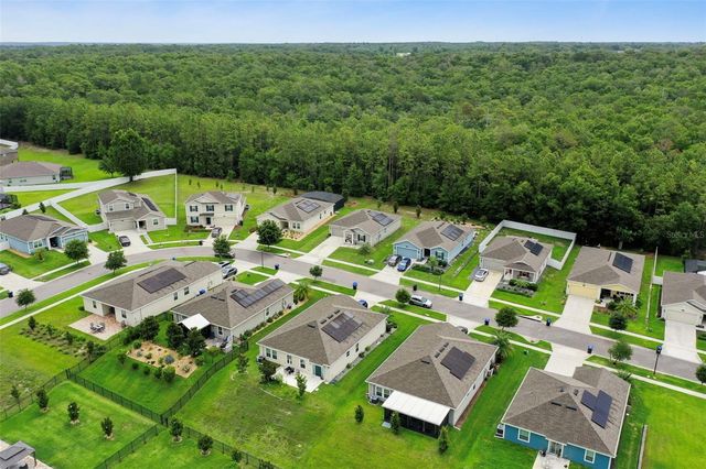 4810 MAGNETITE LOOP, Mount Dora, FL 32757