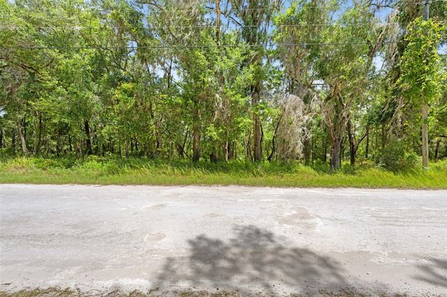 0 RICEBIRD AVENUE LOT 10-11, Weeki Wachee, FL 34614