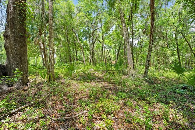 0 RICEBIRD AVENUE LOT 10-11, Weeki Wachee, FL 34614