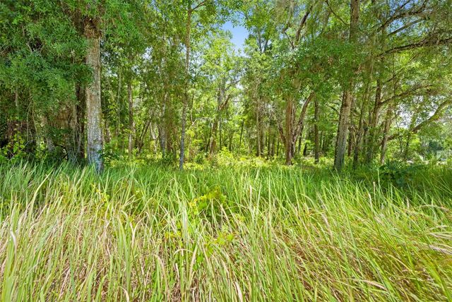 0 RICEBIRD AVENUE LOT 10-11, Weeki Wachee, FL 34614
