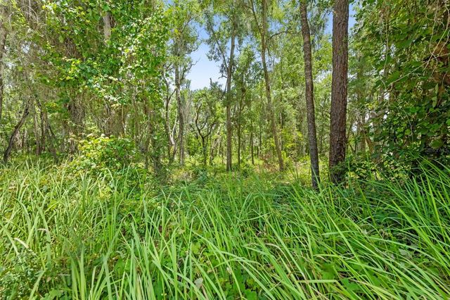 0 RICEBIRD AVENUE LOT 10-11, Weeki Wachee, FL 34614