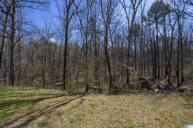 2072 ROCK SCHOOL ROAD, Chelsea, AL 35043