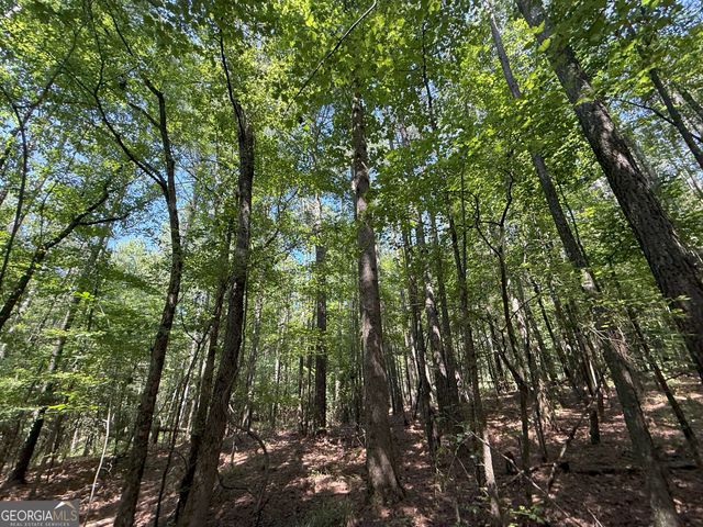 10 Cedar Creek Road, Elberton, GA 30635