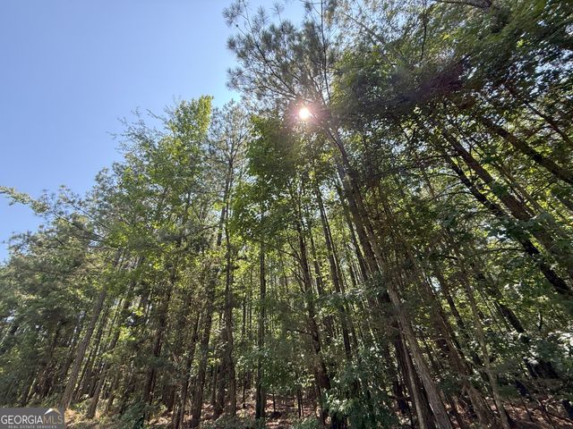 10 Cedar Creek Road, Elberton, GA 30635