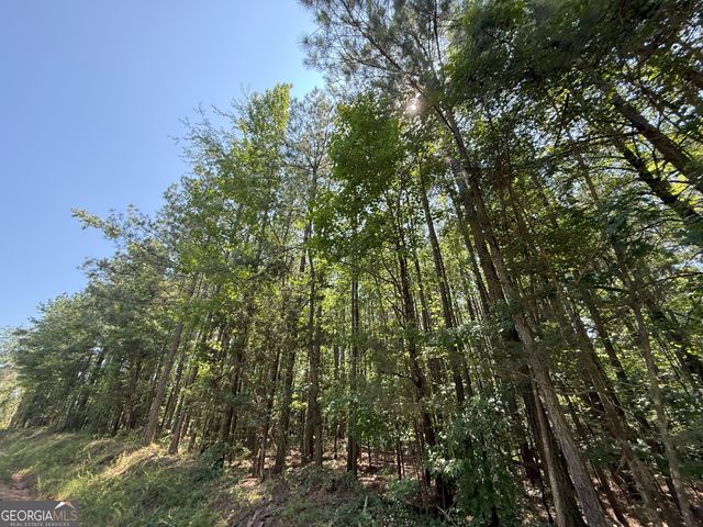 10 Cedar Creek Road, Elberton, GA 30635