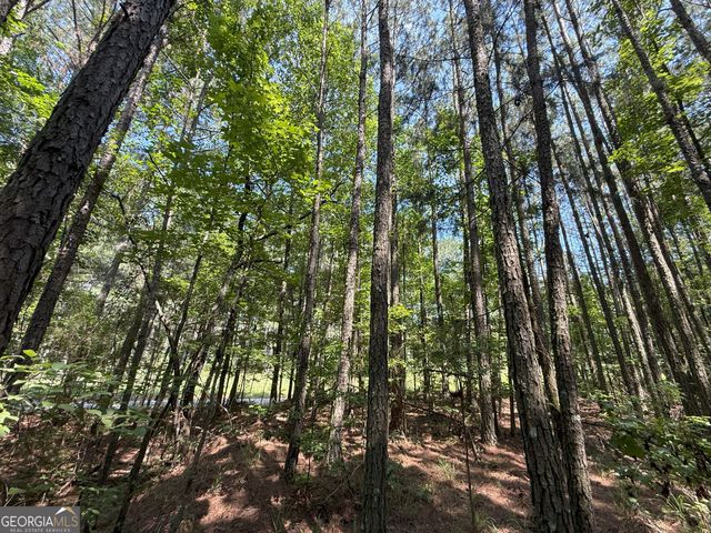 10 Cedar Creek Road, Elberton, GA 30635