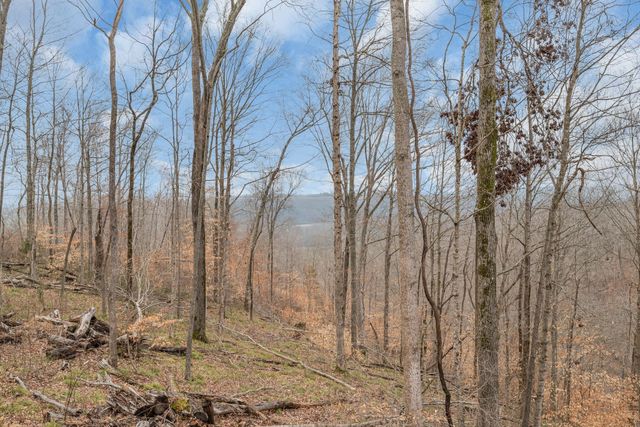 1180 Wiley Pardue Rd, Ashland City, TN 37015
