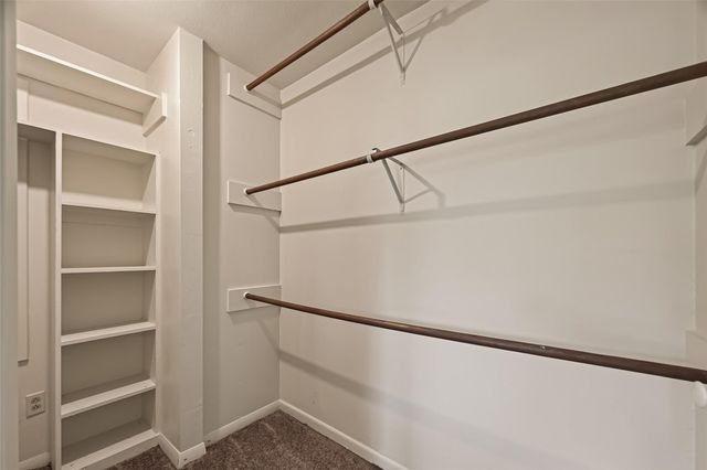 6710 Burning Tree Drive, Houston, TX 77036