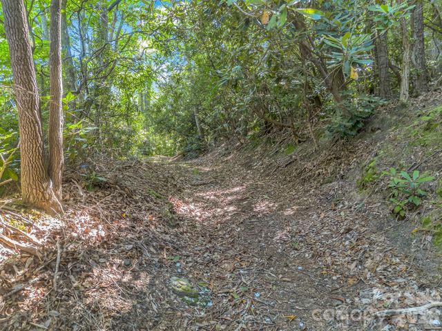 0 Vineyard Hill Drive, Fletcher, NC 28732