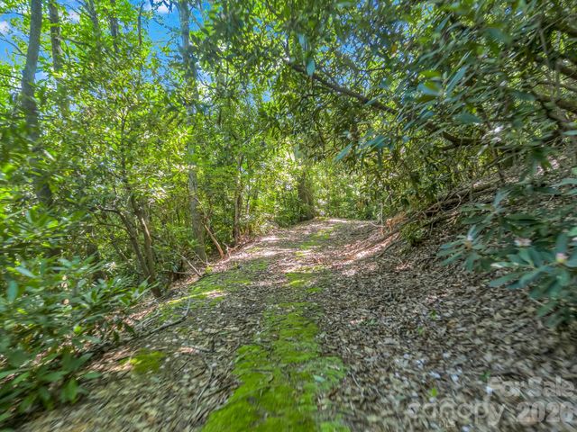 0 Vineyard Hill Drive, Fletcher, NC 28732