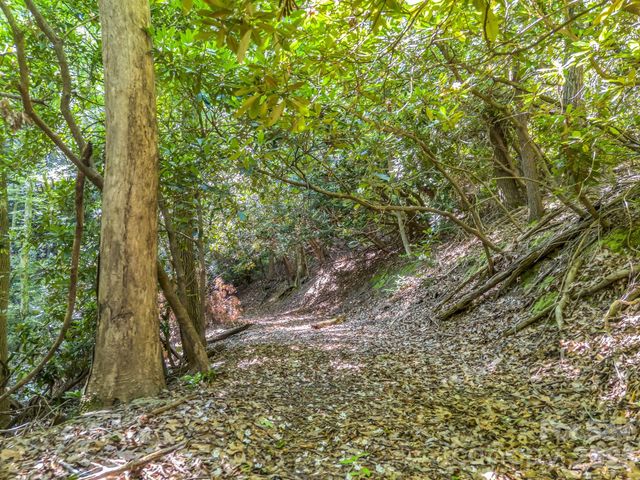 0 Vineyard Hill Drive, Fletcher, NC 28732