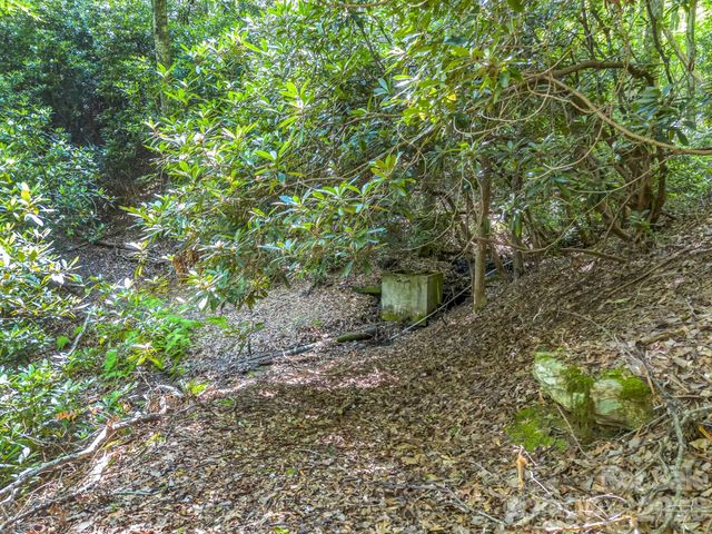 0 Vineyard Hill Drive, Fletcher, NC 28732