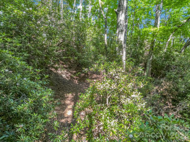 0 Vineyard Hill Drive, Fletcher, NC 28732