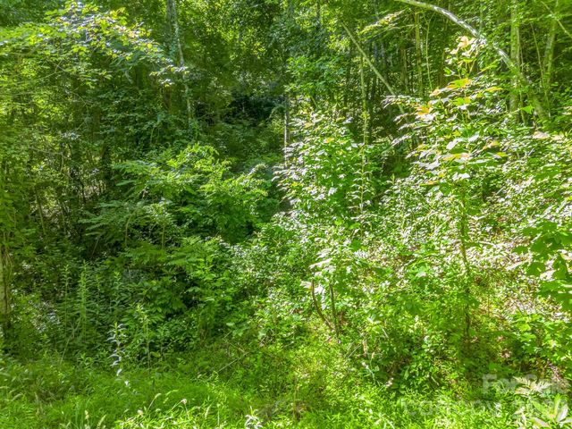 0 Vineyard Hill Drive, Fletcher, NC 28732