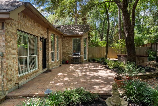 43 Tethered Vine Place, The Woodlands, TX 77382