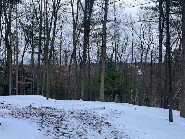 4660 Paper Birch Lane, Traverse City, MI 49686