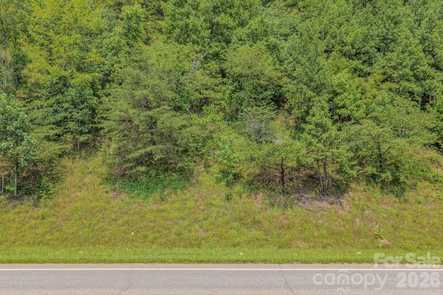 130 Old Candler Town Road, Candler, NC 28715