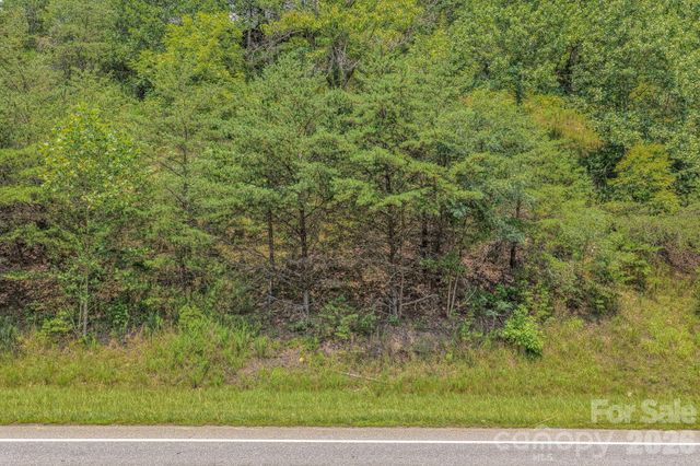 130 Old Candler Town Road, Candler, NC 28715