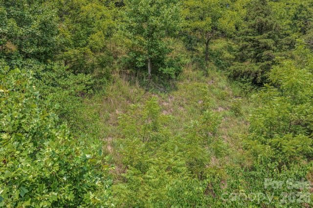 130 Old Candler Town Road, Candler, NC 28715