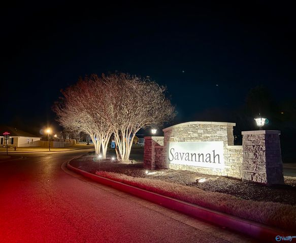 222 Tybee Drive, Madison, AL 35758