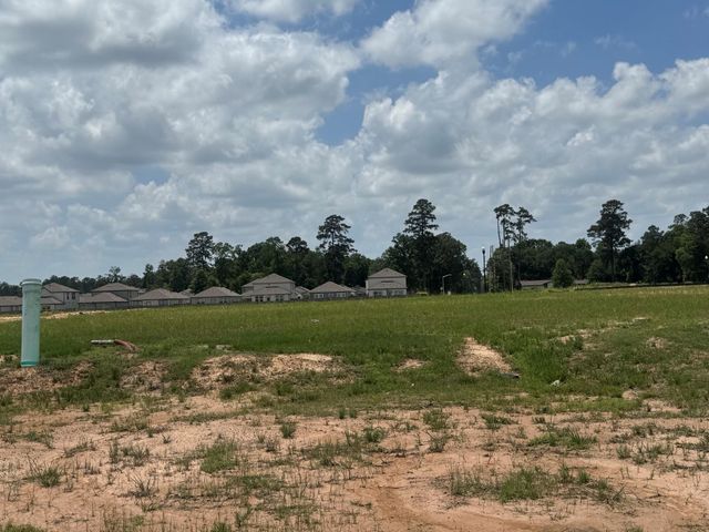20818 Wildbird Cherry Lane, Porter, TX 77365
